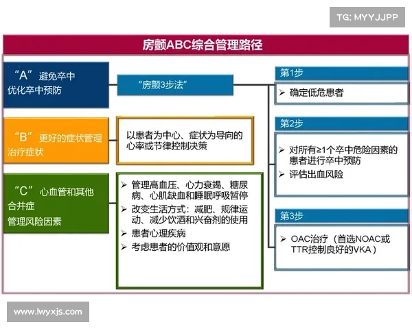 法宝属性的深度解析与实际应用探索全面指南 法宝属性的深度解析与实际应用探索全面指南