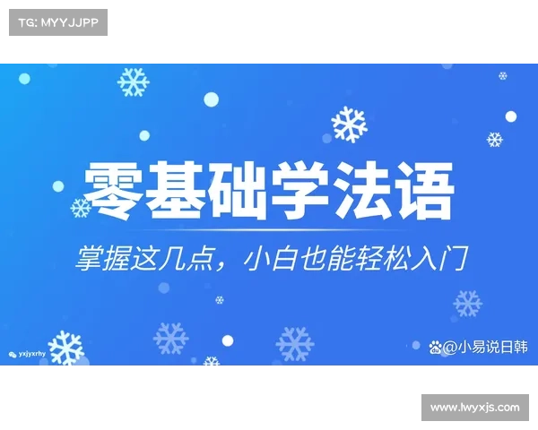零基础掌握红字装备净化技巧与全面提升实用攻略 零基础掌握红字装备净化技巧与全面提升实用攻略
